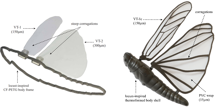 manufactured the bio-inspired wings for future flying robots mimicking locust