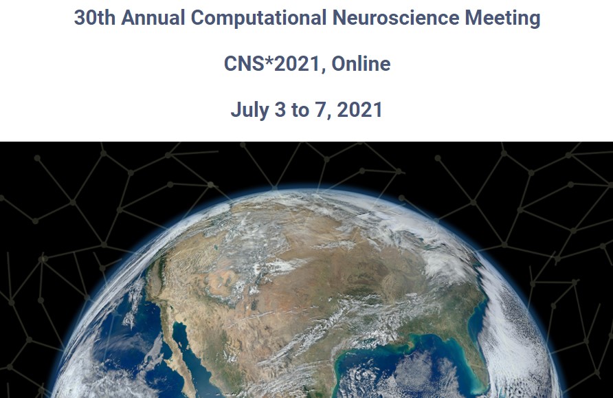 CNS 2021 online conference image