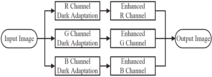 Proposed dark adaptation framework for low light image enhancement