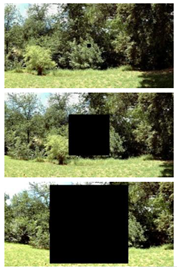 Snapshots of one of the experimental stimuli, where a square lays on a complex background.